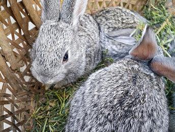 《魔咒之地》开发商声称PC游戏加载已可快达1秒完成